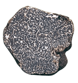 Black Winter Truffle