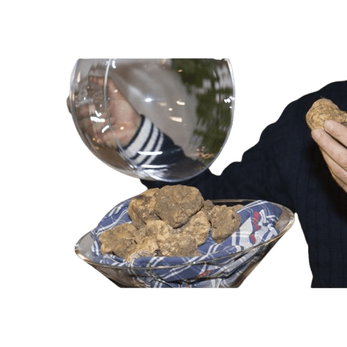 White Fresh Truffle product image